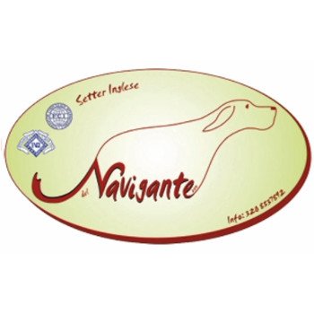 IL NAVIGANTE