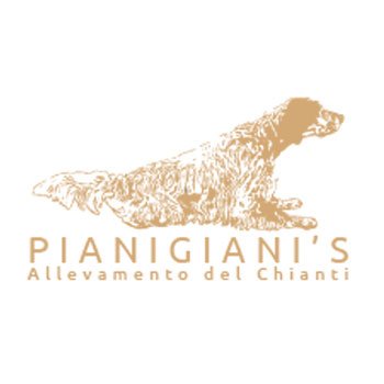 PIANIGIANI